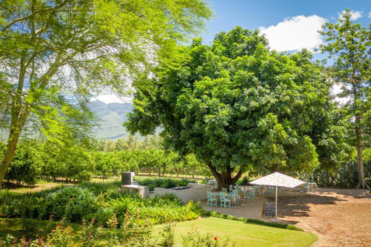 Bed and Breakfast Francines Venue Pty Ltd Hoedspruit Exterior foto